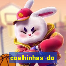 coelhinhas do brasil site